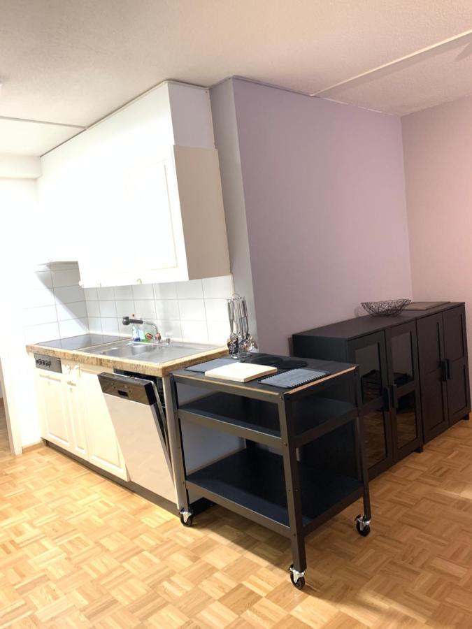 Xl City Center Apartment-Contactless Check-In Basel Bagian luar foto